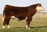 Maui Jim in 2006.
