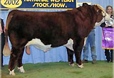 C Milestone 9150 - son of Mile High