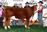 Notice Me Now as 2005 Grand Champion at Fort Worth