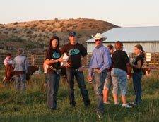 Kirby Day, Mark Sims, and Kyle look at the internet heifer sale offering.