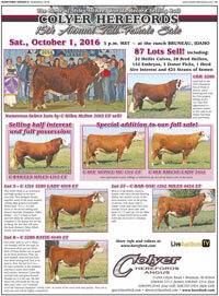 2016 Female Sale, Sat. Oct. 1st - Click to view ad