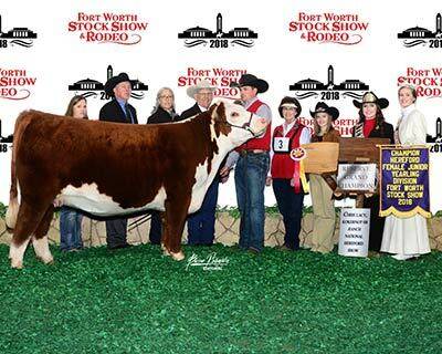 Reserve Grand Champion Female - click to enlarge